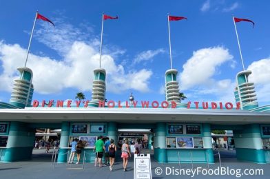 PHOTOS: Take a Look at the MASSIVE Crowds in Disney’s Hollywood Studios Today! 👀