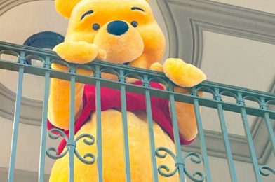 PHOTOS: NEW Winnie the Pooh Ears Arrive in Disney World