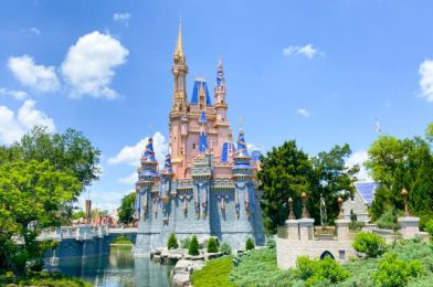 Start Planning Your SUMMER Vacation Today! Check Out the Latest Disney World Deals and Discounts!