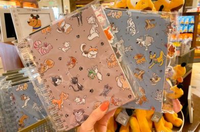 Disney Treats For Pets Exist — You’re Welcome!