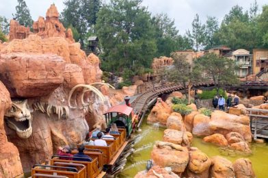 The Wildest Ride in the Wilderness Has Reopened A Day EARLY at Disney World!