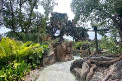 What’s New at Animal Kingdom: A Returning Ride Pre-Show and a Super Expensive Cocktail!