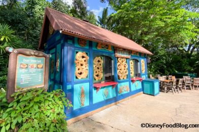 FULL REVIEW: There’s a Mystery Pulled Pork Doughnut at Eight Spoon Cafe in Animal Kingdom