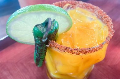 Where to Find the SPICIEST Food in Disney World