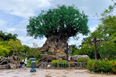 BREAKING: Reported Power Outage Closes Rides at Disney’s Animal Kingdom AGAIN