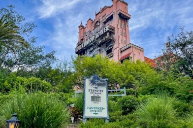 A Popular Pair of Minnie Ears is Finally BACK in Disney World!