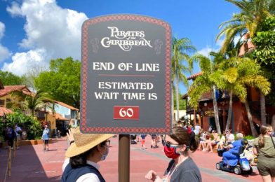 Can You Guess Which Rides Had the LONGEST Waits in Disney World Last Week?