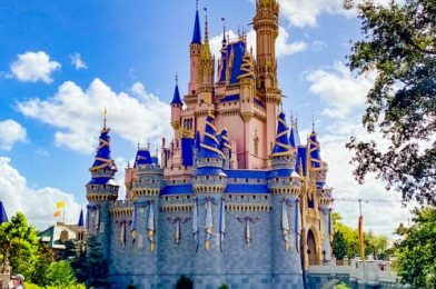 What’s New at Magic Kingdom: A Classic Ride Is CLOSED and a Play Area Reopens