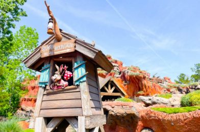 When Could Disney’s Splash Mountain Retheming Start? Here’s What We Know.