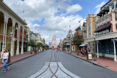 PHOTOS: 4 Need-to-Know Construction Updates in Disney World