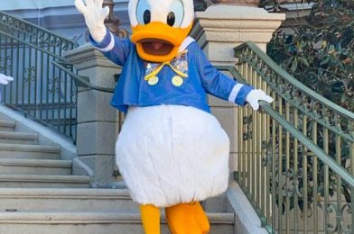 Celebrate Donald Duck with FREE Latte Art in Disney World!