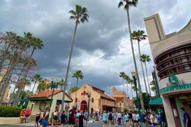 Calming Photos and Videos of a Rainy Day in Magic Kingdom!