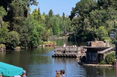 PHOTOS: Cast Members Training for Reopening of Tom Sawyer Island at Disneyland