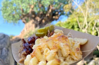 Is This Popular Mac and Cheese Spot Reopening SOON in Disney’s Animal Kingdom?!