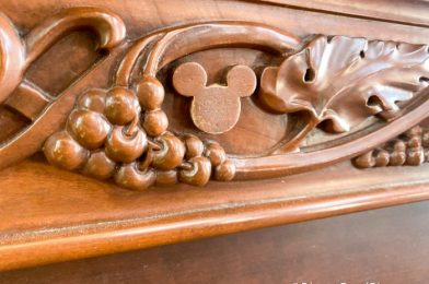 PHOTO: We Bet You’ve NEVER Seen This Hidden Mickey in Disney World!