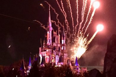 Fireworks Return to Disney Parks July 1