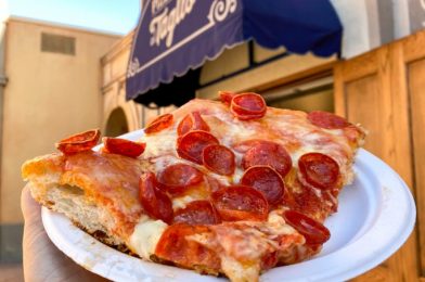 The Best Pizza Places in Disney World