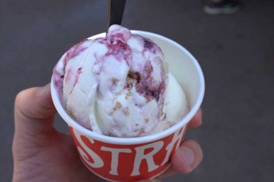 Salt & Straw Ice Cream Shop Coming to Disney Springs