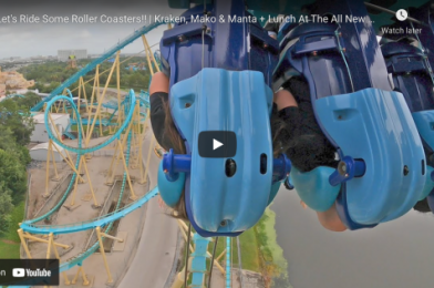 3 ROLLER COASTERS TO RIDE AT SEAWORLD