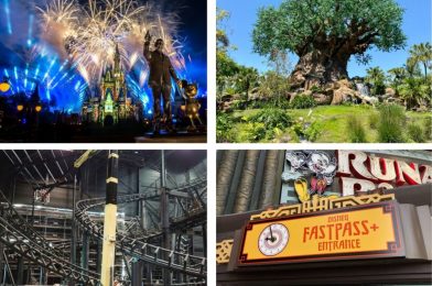 WDWNT Daily Recap (6/10/21): The Possible Return of Fireworks and FastPass, Another Power Outage at Animal Kingdom, and More