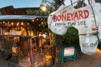 Permits Indicate Possible The Boneyard Playground Refurbishment at Disney’s Animal Kingdom