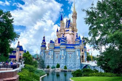 What’s New in Magic Kingdom: Cast Members Policy Changes and Casey’s Corner Updates