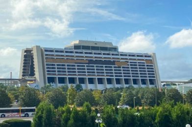 NEWS: The Wave Will Be Reimagined at Disney’s Contemporary Resort