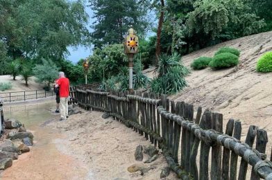 PHOTOS, VIDEO: Heavy Rains Bring Flooding to Disneyland Paris, Closing Most Attractions and Dumping Sand In Paths