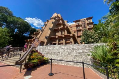 La Cava del Tequila Will Debut a NEW Tequila AND Margarita in EPCOT