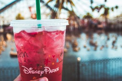 Nine Compromises to Save Money on Your Return to Disney