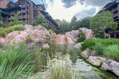 PHOTOS: Tour the NEWLY RENOVATED Rooms at Disney’s Wilderness Lodge!