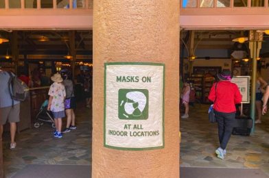 PHOTOS: Disney World Ride Queues Are Starting to Look Normal Again