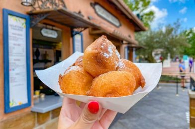 12 DFB Reviews You Have to Read Before Going to EPCOT