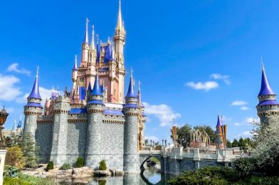 PHOTOS: See the Progress on 10 (!!) Construction Projects in Disney World!