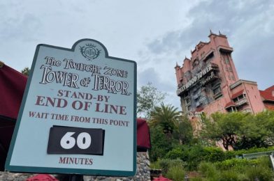 The Unexpected Wait to Prepare for When Driving at Disney World