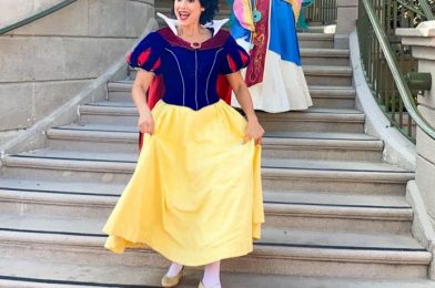 NEW Disney Princess Dresses for Adults Are Now Available Online!