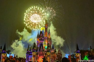 DFB Video: Latest Disney News: Fireworks are BACK, the Disney Dining Plan is Returning, Early Park Entry & MORE