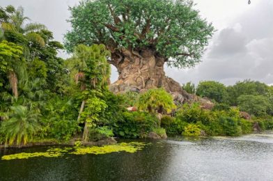 What’s New at Animal Kingdom: Dino Diner Reopening and Carnival Games are Back!