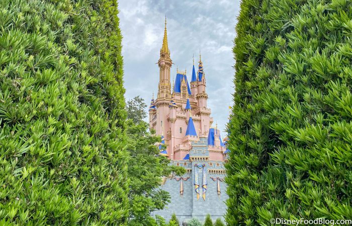 Whats New in Magic Kingdom: A Restaurant Reopens and Spooky Halloween Items!