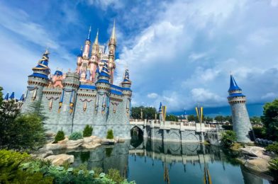 The Ultimate Packing List for Toddlers in Disney World