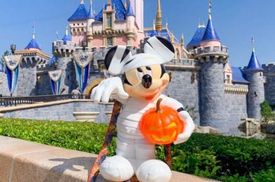 PHOTOS: An Iconic Halloween Popcorn Bucket is BACK in Disney World!