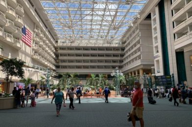 Orlando Airport Expects MAJOR Crowds Labor Day Weekend