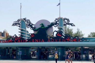 PHOTOS & VIDEOS: We’re LIVE From Oogie Boogie Bash in Disneyland!