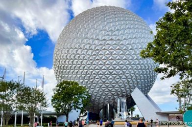 What’s New in EPCOT: An ICE CREAM Margarita and Twinnings Christmas Teas Return