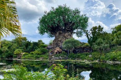 What’s New at Animal Kingdom: An Extinct Attraction Is Coming Down and KiteTails Decorations Are Going Up