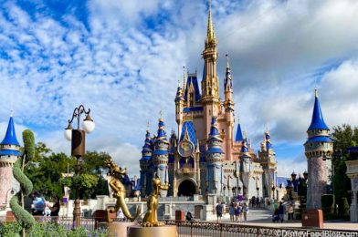 Disney World Is Seeing a COLD FRONT Ahead of the 50th Anniversary