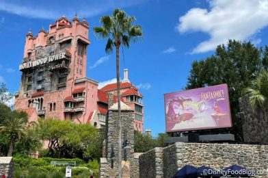 What’s New at Hollywood Studios: A Spicy Hotdog and Rock ‘n’ Roller Coaster Construction