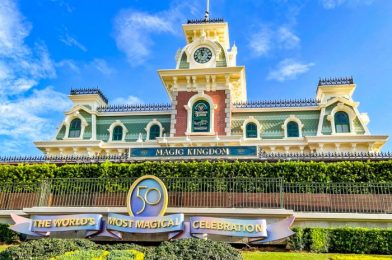 Almost 30 Disney World Rides Had Average Wait Times in the Single Digits This Week