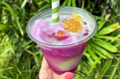 BRAIN FREEZE ALERT! Our FAVORITE Frozen Drinks Around Disney World!