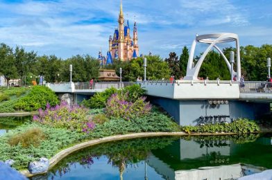 Attendance at Magic Kingdom Dropped By Over 10,000,000 Visitors in 2020, According to a New Report